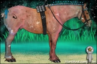 Horse Color:White Spotted Silver Bay Roan 
