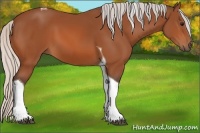 Horse Color:Silver Bay Tobiano