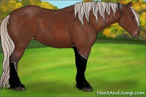 Horse Color:Silver Brown Tobiano Appaloosa 