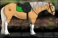 Horse Color:Silver Buckskin Tobiano 