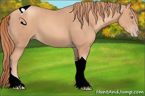 Horse Color:Gold Champagne Sabino Tobiano