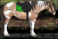 Horse Color:White Spotted Amber Champagne Tobiano 