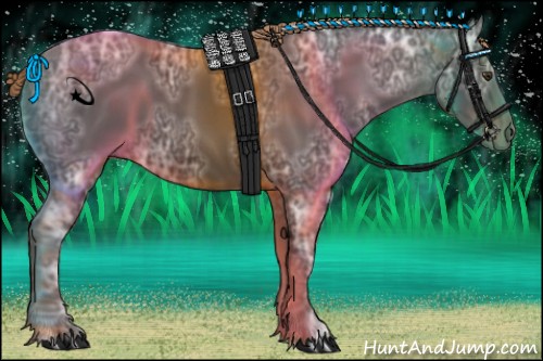 Horse Color:Liver Chestnut Ice 