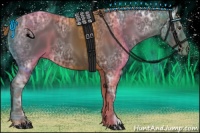 Horse Color:Liver Chestnut Ice 