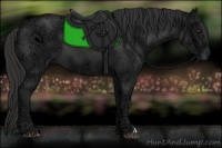 Horse Color:Liver Chestnut Ice