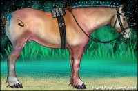 Horse Color:Red Onyx Varnish 
