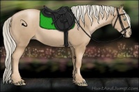 Horse Color:Chocolate Palomino Pearl