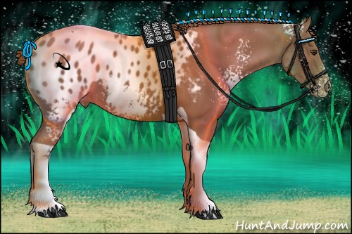 Horse Color:White Spotted Chestnut Tobiano Blanket