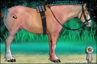 Horse Color:Gold Champagne