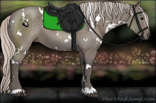 Horse Color:White Spotted Silver Black 