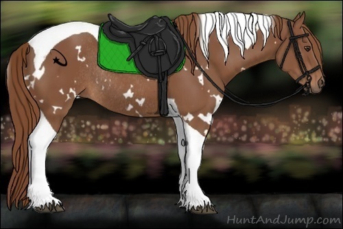 Horse Color:White Spotted Chestnut Tobiano Rabicano