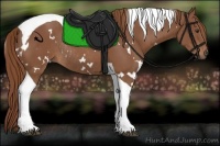 Horse Color:White Spotted Chestnut Tobiano Rabicano