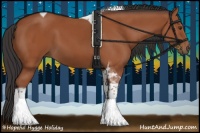 Horse Color:Bay Sabino Tobiano