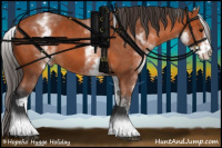 Horse Color:White Spotted Bay Tobiano