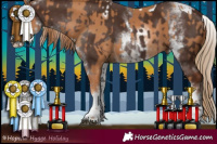 Horse Color:White Spotted Chestnut Tobiano  and Gray White Spotted Chestnut Tobiano 