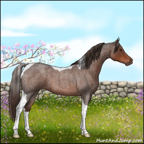 Horse Color:Liver Red Roan Tobiano 