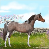 Horse Color:Liver Red Roan Tobiano