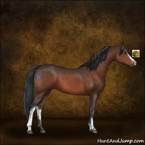 Horse Color:White Spotted Brown Rabicano 