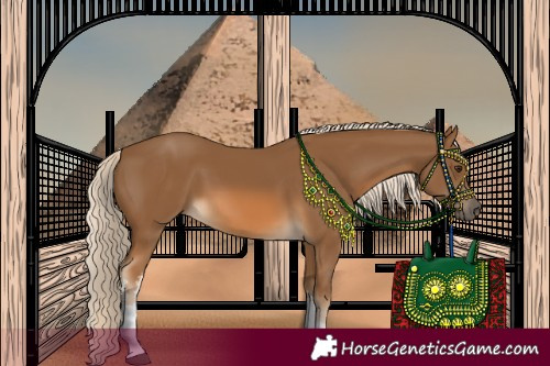 Horse Color:White Spotted Chocolate Palomino 