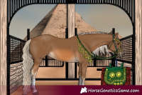 Horse Color:White Spotted Chocolate Palomino 