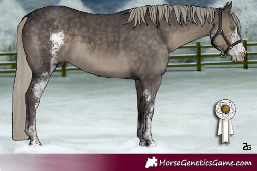 Horse Color:Silver Smoky Black Sabino Rabicano 