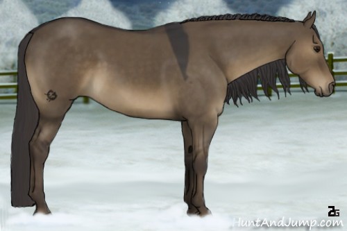 Horse Color:Smoky Grullo Rabicano 