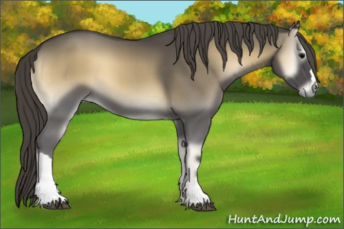 Horse Color:Smoky Blue Onyx 