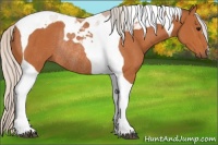 Horse Color:Silver Bay Tobiano Rabicano
