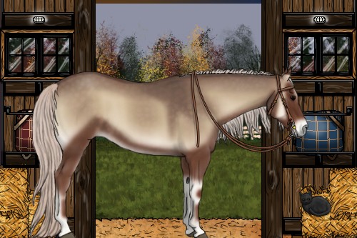 Horse Color:Silver Blue Onyx 