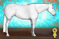 Horse Color:Gray Sable Cream Champagne Dun