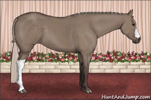 Horse Color:Silver Grullo 