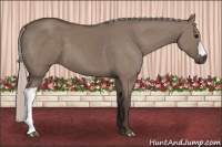 Horse Color:Silver Grullo