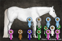 Horse Color:Gray Silver Grullo Tobiano