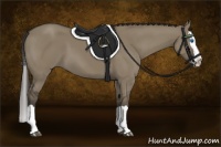 Horse Color:Smoky Grullo Splash