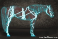 Horse Color:Thunderstruck Chocolate Black Chinchilla 