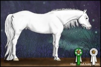 Horse Color:Gray Black Pearl Appaloosa 