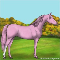 Horse Color:Watercolor Smoky Black Rabicano 
