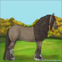 Horse Color:Smoky Grullo 