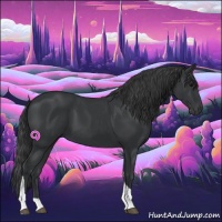 Horse Color:Black Tobiano Rabicano