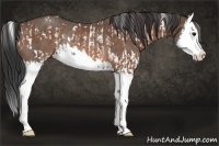 Horse Color:White Spotted Grullo Splash Rabicano and Bay Splash Rabicano