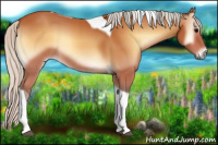 Horse Color:Silver Bay Onyx Tobiano 