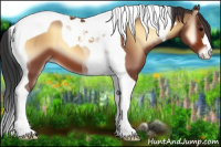 Horse Color:Bay Onyx Tobiano 