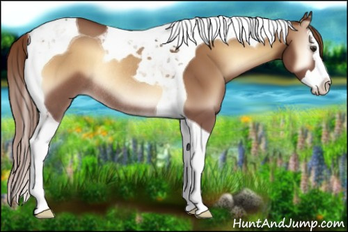 Horse Color:Red Onyx Splash Tobiano Rabicano