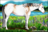 Horse Color:White Spotted Bay Onyx Splash