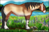 Horse Color:Bay Onyx 