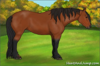 Horse Color:Gray Bay