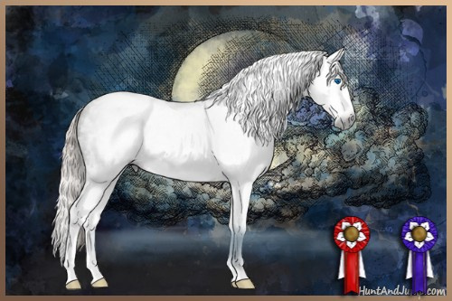 Horse Color:Gray White Spotted Silver Black Splash 