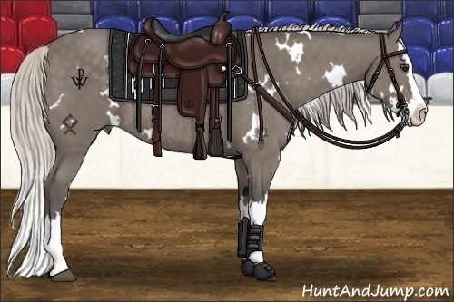 Horse Color:White Spotted Silver Black Splash Rabicano