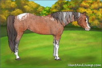 Horse Color:Bay Splash Tobiano Varnish  and Bay Splash Tobiano Varnish 