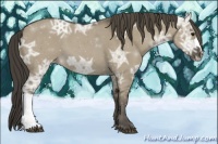 Horse Color:Smoky Grullo Ice 